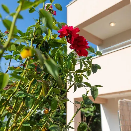 Apartamento Crnekovic V *