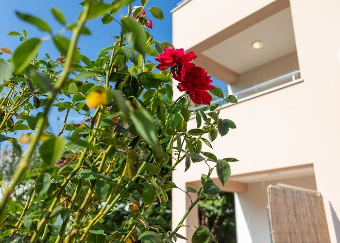 Apartament Crnekovic V *